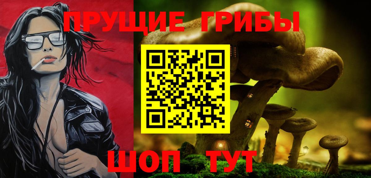 Псилоцибиновые грибы Magic Shrooms  Галлюциногенные грибы прущие грибы  Сафоново  Вход с VPN 